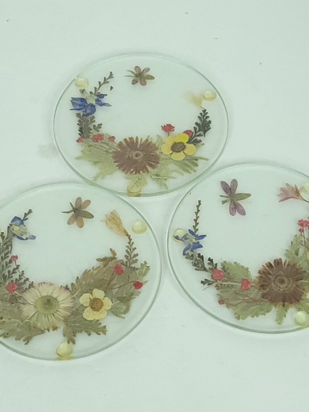 Dried Flowers Butterfly Glass Coaster Pressed Set Of 3 Drink Holder Coffee Table
